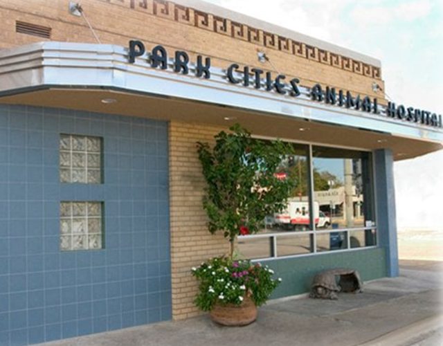 VCA Park Cities Animal Hospital 5