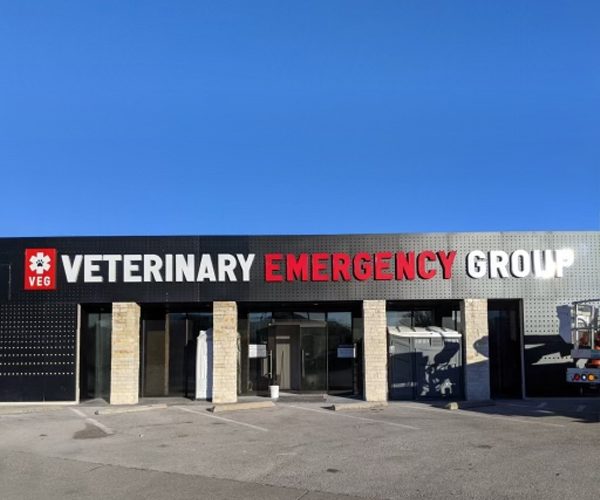 Veterinary Emergency Group 4