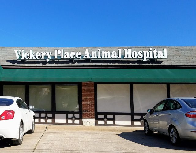 Vickery Place Animal Hospital 6