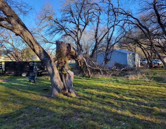 West Texas Tree Services LLC 3