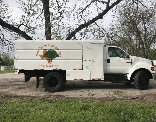 West Texas Tree Services LLC 6