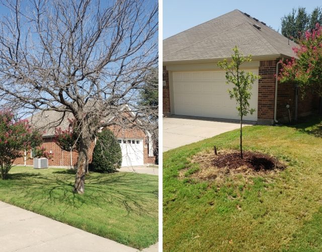 Willow Creek Landscaping & Tree Service 4