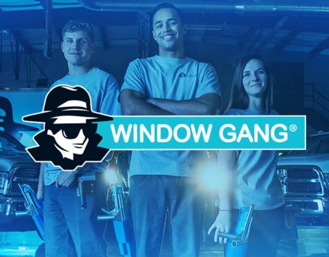 Window Gang – Dallas, TX 5