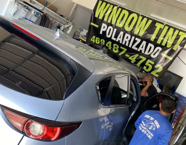 Window Tint Polarizado 3