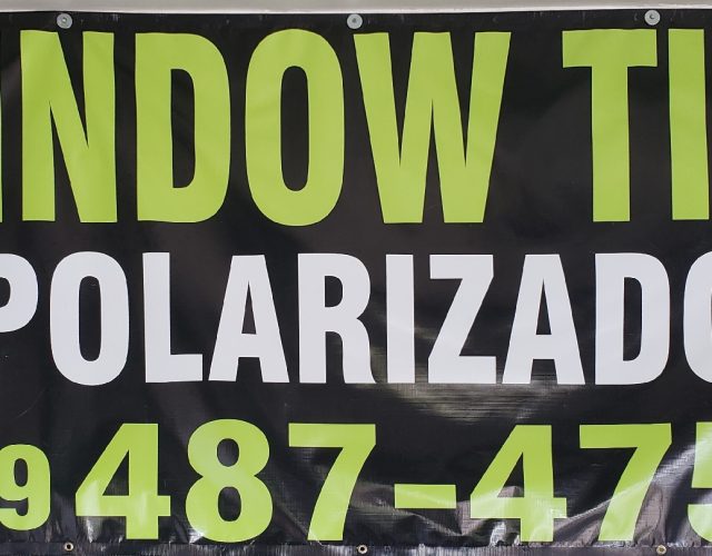 Window Tint Polarizado 4