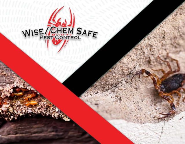 Wise / Chem Safe Pest Control 4