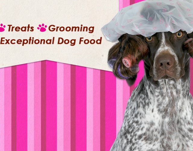 Woof Gang Bakery & Grooming Rockwall 5