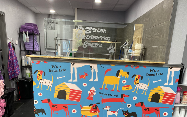 Zoom Grooming Salon 5