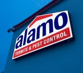 Alamo Termite & Pest Control 5