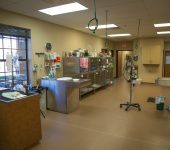 Denton Veterinary Center 3