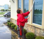Fish Window Cleaning 4