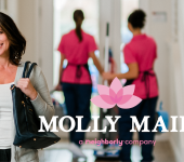 Molly Maid of DFW Metro Northwest 4