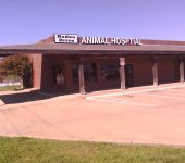 Rodeo Drive Veterinary Hospital 2