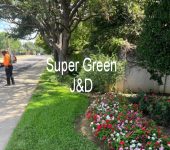 Super Green J&D LLC 4